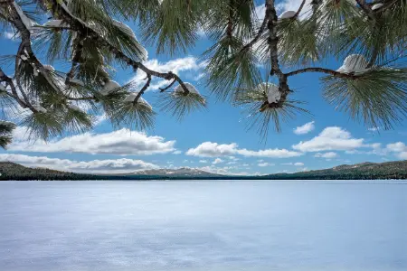 个人博客的宣言【AI写稿】