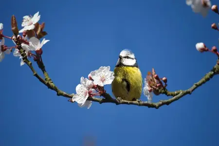 博客搭建记录